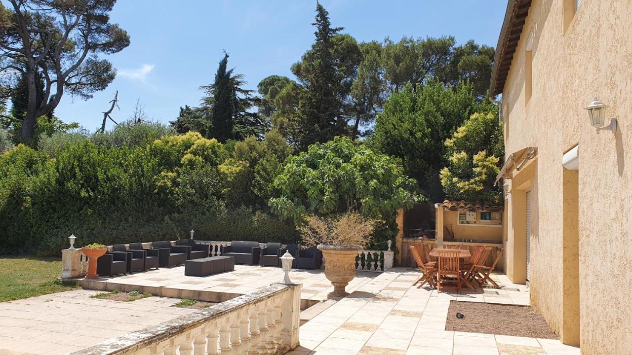 Domaine D'Herminis - Gite De Dame Carcas Carcassonne Dış mekan fotoğraf